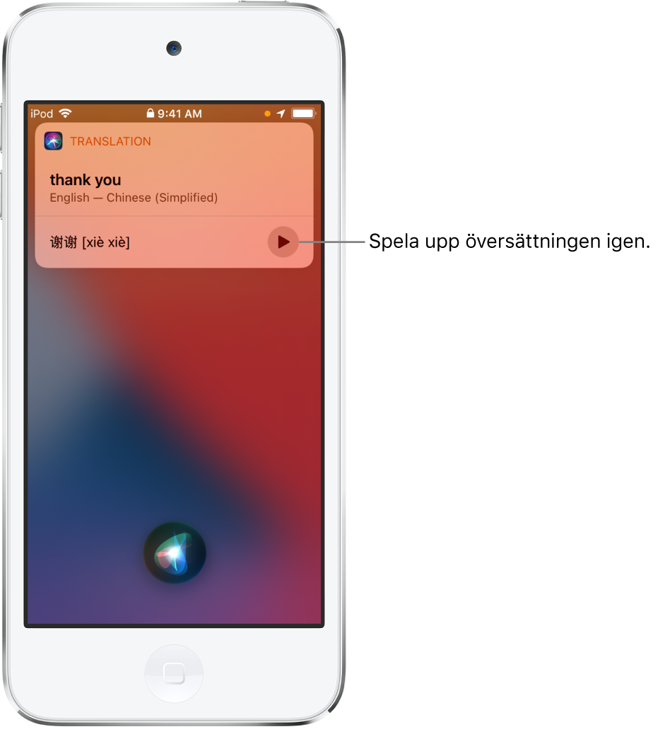 Siri visar en översättning av den engelska frasen thank you på mandarin. Till höger om översättningen finns en knapp som du kan trycka på om du vill höra översättningen igen.