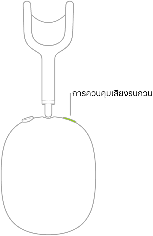 ภาพประกอบที่แสดงตำแหน่งของปุ่มควบคุมเสียงรบกวนบนหูฟังข้างขวาของ AirPods Max