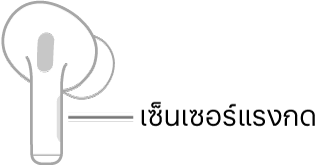 ภาพประกอบของ AirPod ข้างขวาที่แสดงตำแหน่งของเซ็นเซอร์แรงกด เมื่อใส่ AirPod ลงในหูแล้ว เซ็นเซอร์แรงกดจะอยู่ที่ขอบด้านบนสุดของก้าน