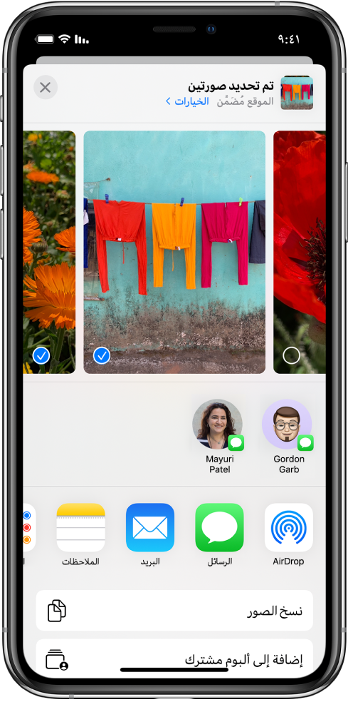 شاشة المشاركة وبها صور بامتداد الجزء العلوي؛ توجد صورتان محددتان، مميزتان بعلامة اختيار بيضاء في دائرة زرقاء. الصف الموجود أسفل الصور يوضح الأصدقاء الذين يمكن المشاركة معهم باستخدام AirDrop. يوجد أسفل ذلك خيارات مشاركة أخرى، بما في ذلك، من اليمين إلى اليسار، الرسائل والبريد والألبومات المشتركة وإضافة إلى الملاحظات. في الصف السفلي توجد أزرار نسخ ونسخ رابط iCloud وعرض الشرائح وAirPlay وإضافة إلى الألبوم.