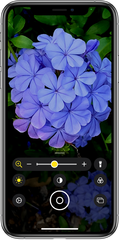 Екранът на Magnifier (Лупа), показващ близък план на цвете.