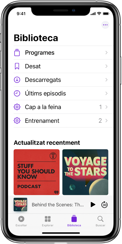 Pestanya Biblioteca que mostra els programes seguits recentment.