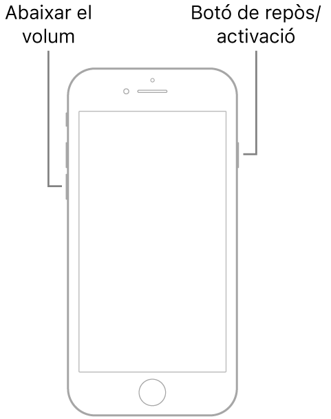 Il·lustració d’un iPhone 7 amb la pantalla de cara cap amunt. El botó per abaixar el volum és al costat esquerre del dispositiu, i el botó de repòs/activació al costat dret.