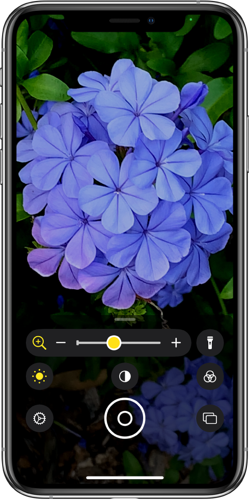 Pantalla de la lupa que mostra un primer pla d’una flor.