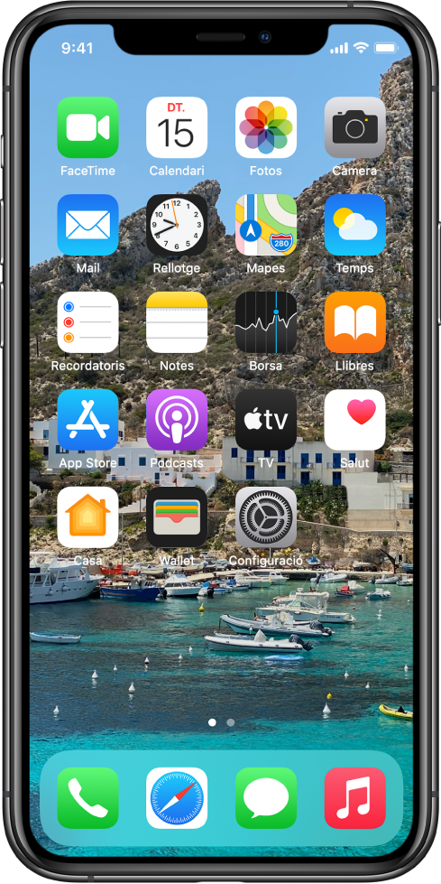 Pantalla d’inici amb un fons personalitzat.