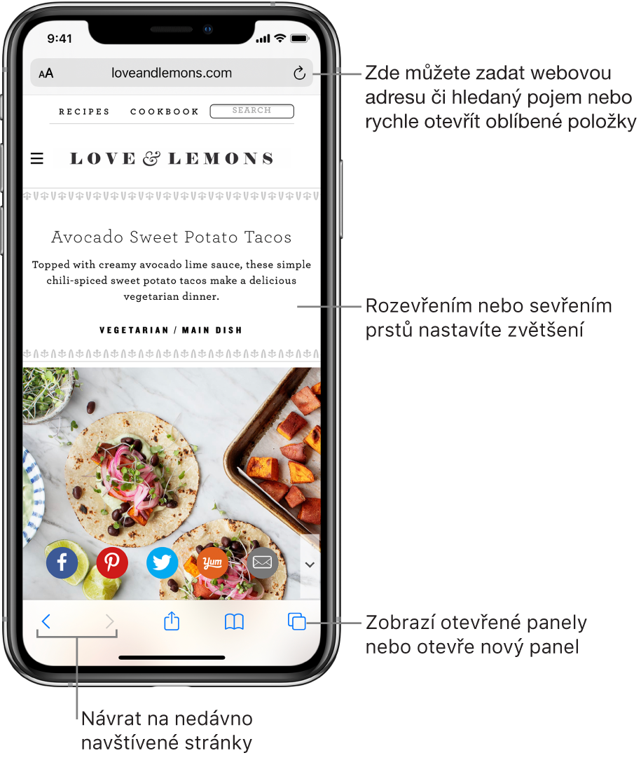 Otevřená webová stránka v Safari s polem adresy nahoře. Dole zleva doprava tlačítka Zpět, Vpřed, Sdílet, Záložky a Stránky