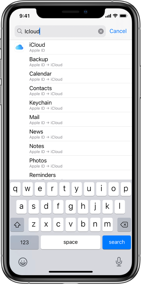 The search settings screen, with the search field at the top. The search term “iCloud” is in the search field, and the found settings are in the list below.