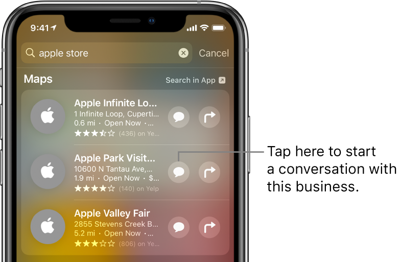 The Search screen showing found items for Maps. Each item shows a brief description, rating, or address, and each website shows a URL. The second item shows a button to tap to start a business chat with the Apple Store.
