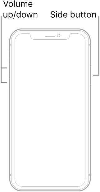 An illustration of a face up iPhone model without a Home button. The volume up and volume down buttons are shown on the left side of the device, and a side button is shown on the right side.