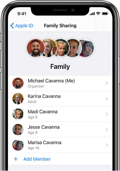 The Family Sharing screen in Settings. Five family members are listed and Add Member is visible at the bottom of the screen.