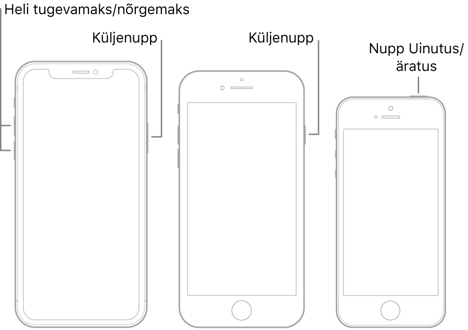 Kolme erineva iPhone’i mudeli joonised, kus kõigi ekraanid on suunatud ülespoole. Vasakpoolsel joonisel on näha, kuidas helitugevuse suurendamise ja vähendamise nupud asuvad seadme vasakul küljel. Küljenupp asub paremal. Keskmisel joonisel kuvatakse seadme paremal küljel asuvat küljenuppu. Kõige parempoolsemal joonisel kuvatakse seadme ülaosas asuvat nuppu Uinutus/äratus.