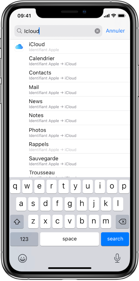 L’écran des réglages de recherche, avec le champ de recherche en haut. Le terme de recherche « iCloud » apparaît dans le champ de recherche, et les réglages trouvés s’affichent dans la liste située dessous.