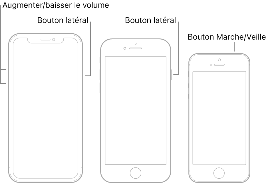 Illustrations de trois modèles d’iPhone différents, avec leur écran vers le haut. L’illustration située la plus à gauche affiche le bouton d’augmentation et de diminution du volume. Le bouton latéral s’affiche à droite. L’illustration centrale affiche le bouton latéral à droite de l’appareil. L’illustration la plus à droite affiche le bouton Marche/Veille en haut de l’appareil.