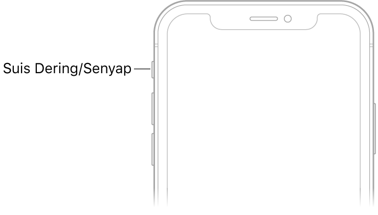 Bahagian atas hadapan iPhone dengan petak bual menuding ke arah suis Dering/Senyap.