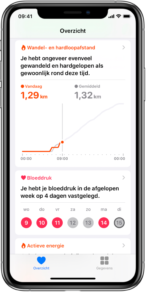 Een Overzicht-scherm met als hoogtepunten de wandel- en hardloopafstand van vandaag en het aantal dagen dat de bloeddruk is gemeten de afgelopen week.