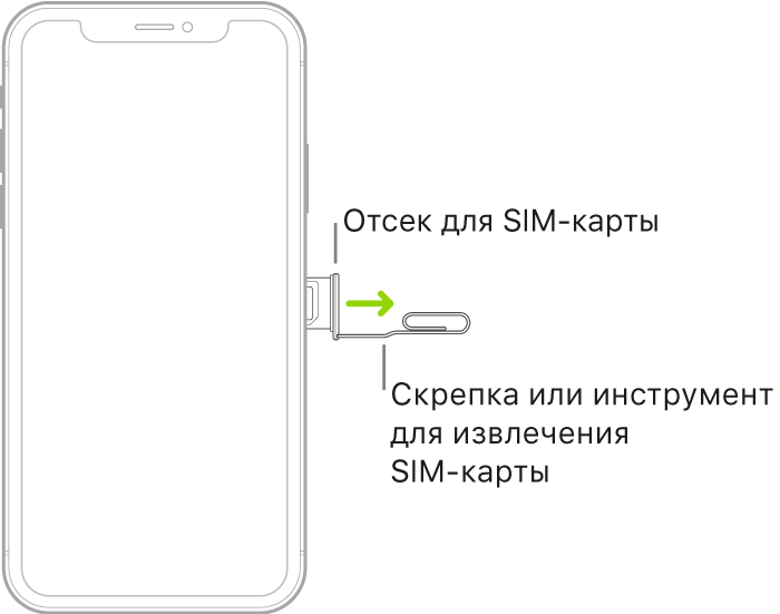 Конец небольшой скрепки или инструмента для извлечения SIM-карты вставлен в отверстие лотка на правой стороне iPhone для извлечения лотка.