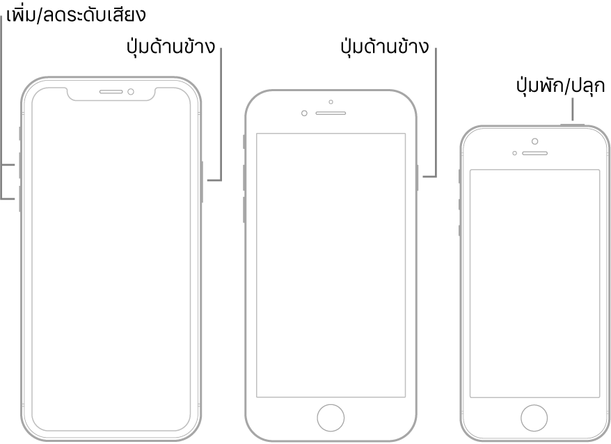 ภาพประกอบของ iPhone รุ่นต่างๆ สามรุ่น ซึ่งทั้งหมดหงายหน้าจอขึ้น ภาพประกอบซ้ายสุดแสดงปุ่มเพิ่มระดับเสียงและปุ่มลดระดับเสียง ซึ่งอยู่ด้านซ้ายของอุปกรณ์ ปุ่มด้านข้างแสดงอยู่ทางด้านขวา ภาพประกอบตรงกลางแสดงปุ่มด้านข้าง ซึ่งอยู่ด้านขวาของอุปกรณ์ ภาพประกอบขวาสุดแสดงปุ่มพัก/ปลุก ซึ่งอยู่ด้านบนสุดของอุปกรณ์
