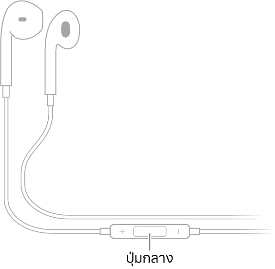 Apple EarPods ปุ่มกลางอยู่ที่สายนำไปสู่ตัวหูฟังด้านขวา