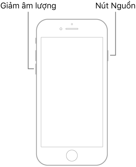 Hình minh họa của iPhone 7 có màn hình hướng lên trên. Nút giảm âm lượng được hiển thị ở cạnh trái của thiết bị và nút Nguồn được hiển thị ở bên phải.