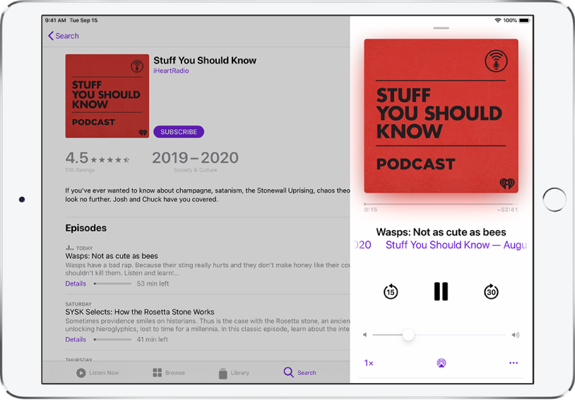 A Podcasts search results page fills the screen. On the right side of the screen, a podcast plays and playback controls appear below the podcast cover image.