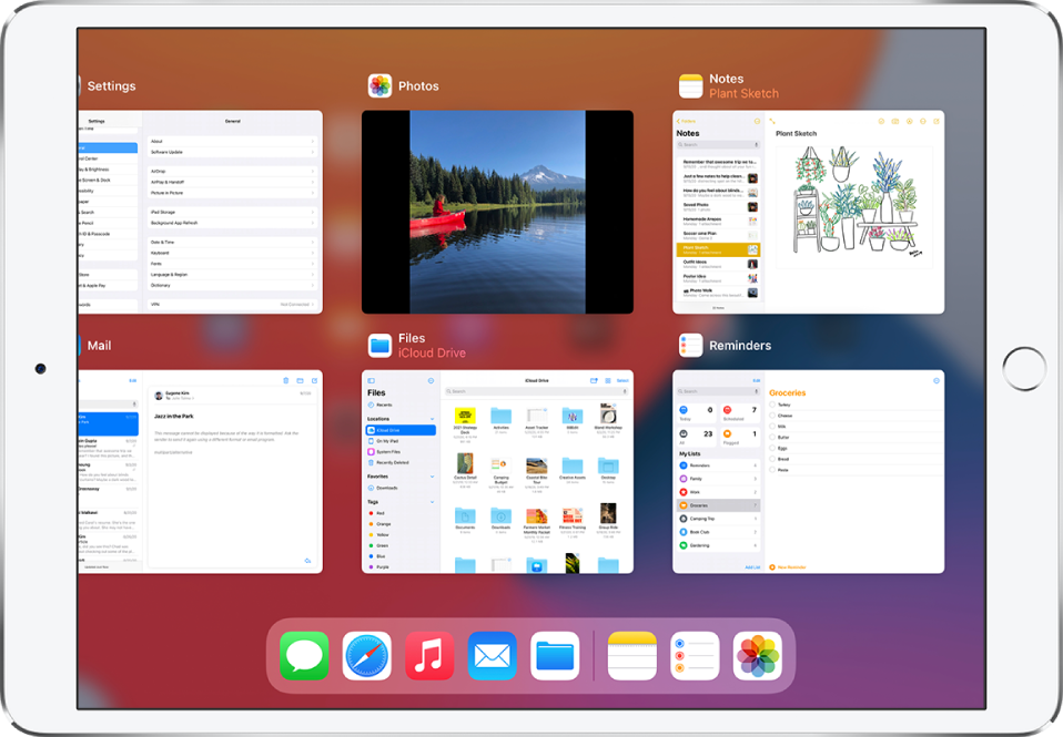 The App Switcher display with multiple apps showing.