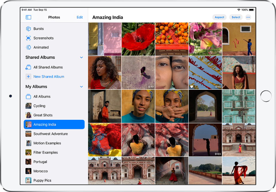 The Photos sidebar is open on the left side of the screen. Under the My Albums heading, the album titled Amazing India is selected. The rest of the iPad screen is filled with photos and videos from the Amazing India album displayed in tiles.
