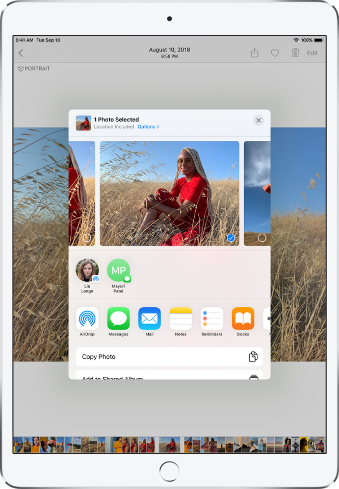 The share photos window is in the center of the screen. Photos are across the top of the window; one photo is selected, indicated with a checkmark. The row beneath the photos suggests recent contacts to share with. Below the suggested contacts are sharing options, from left to right, AirDrop, Messages, Mail, Notes, Reminders, and Books. At the bottom of the share screen is a row of actions. From top to bottom, Copy Photo and Add to Shared Album are displayed.