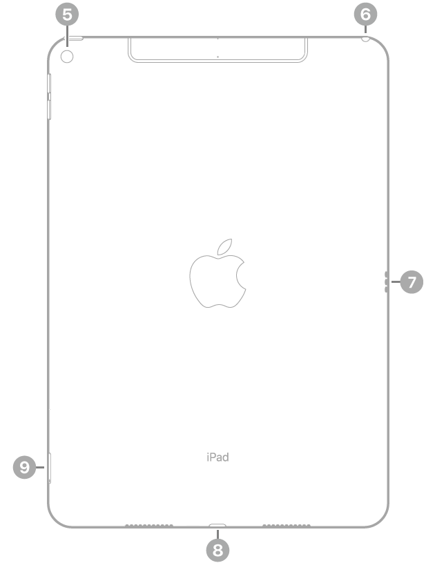 The back view of iPad with callouts going clockwise from the top left: rear camera, headphone jack, Smart Connector, Lightning connector, and SIM tray (Wi-Fi + Cellular).