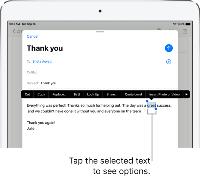 A sample email message with some of the text selected. Above the selection are the Cut, Copy, Paste, and Replace buttons. The selected text is highlighted with handles at either end.