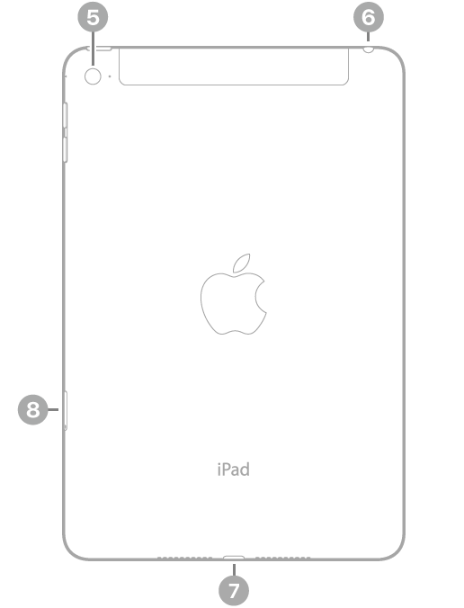 The back view of iPad mini with callouts going clockwise from the top left: rear camera, headphone jack, Lightning connector, and SIM tray (Wi-Fi + Cellular).