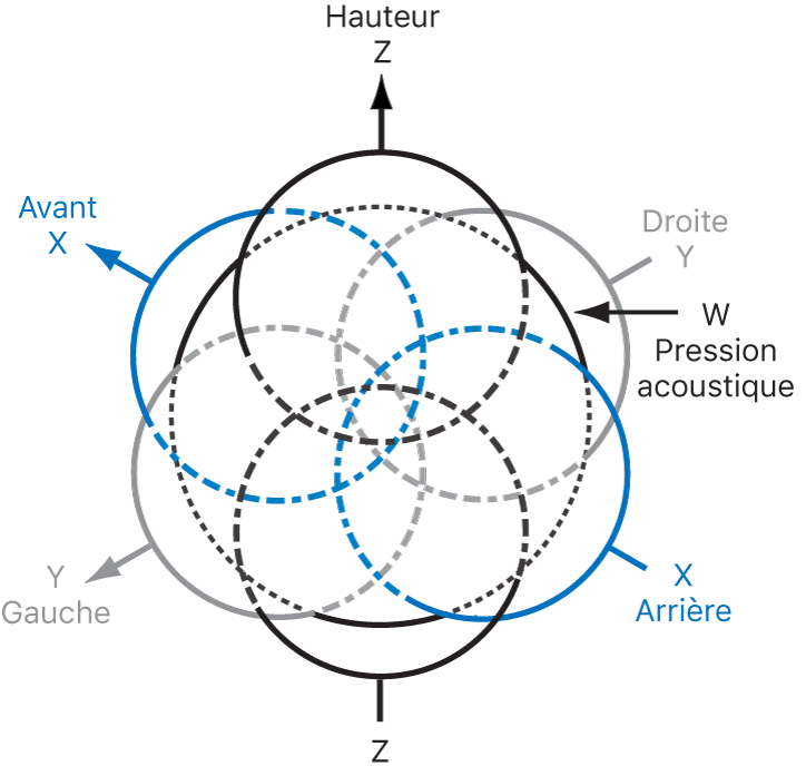 Figure. Illustration technique des flux Surround au format B.