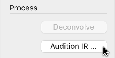 図。「Audition IR」ボタン。オーディションウインドウが開きます。