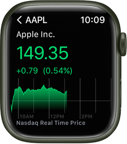Information about a stock in the Stocks app.