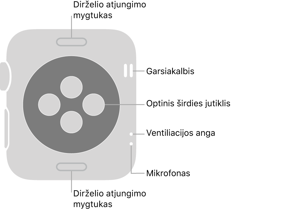 „Apple Watch Series 3“ galinė pusė, dirželio atjungimo mygtukai viršuje ir apačioje, optiniai širdies jutikliai viduryje ir garsiakalbis, ventiliacijos angos bei mikrofonas nuo viršaus iki apačios netoli šono.