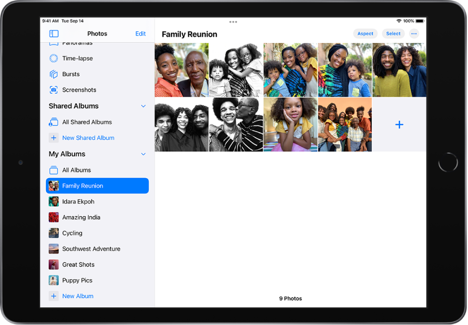 Make Photo Albums On Ipad Apple Support