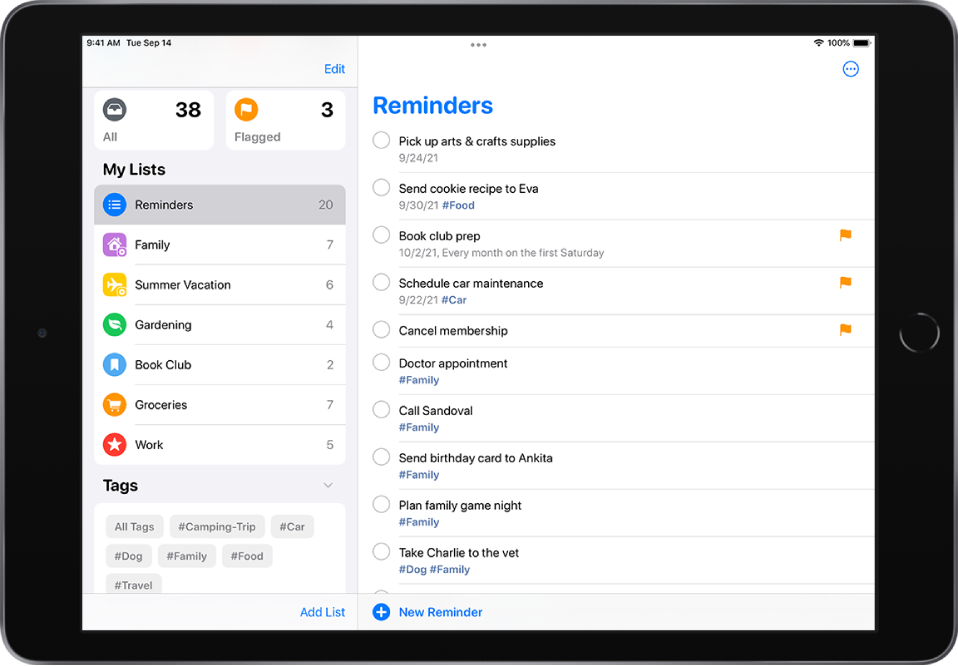 A screen showing custom lists and Smart Lists on the left. The Tag Browser is at the bottom left.