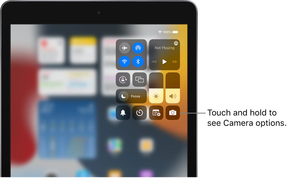 Controls for airplane mode, cellular data, Wi-Fi, and Bluetooth in the top-left group in Control Center for Wi-Fi + Cellular iPad models. The Camera control is at the bottom right.