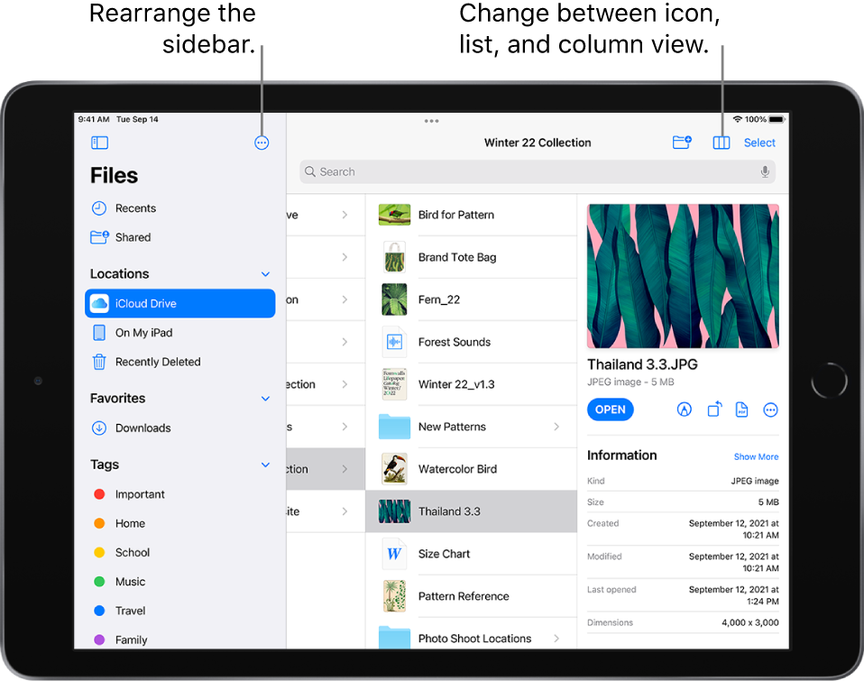 An iCloud Drive location showing buttons to rearrange the sidebar, to sort according to Name, Date, Size, and Tags, and to change between list and icon view.