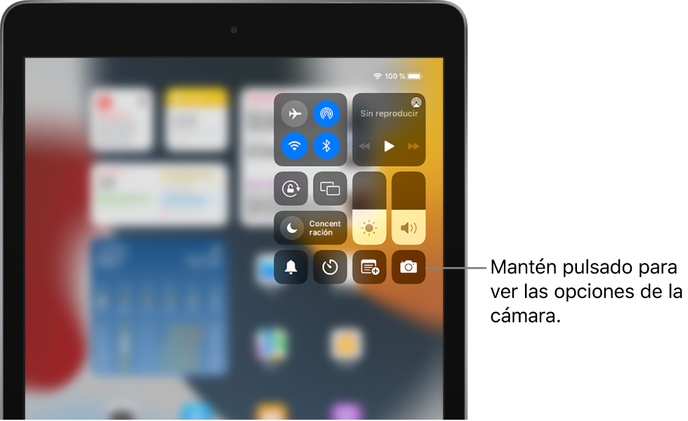 Controles de modo Avión, datos móviles, Wi-Fi y Bluetooth en el grupo de la parte superior izquierda del centro de control para modelos de iPad Wi-Fi + Cellular. El control de la cámara se encuentra en la parte inferior derecha.