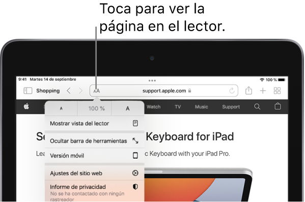 Un sitio web con el menú “Ajustes de página” abierto. La opción de la parte superior es ““Mostrar vista del lector”.