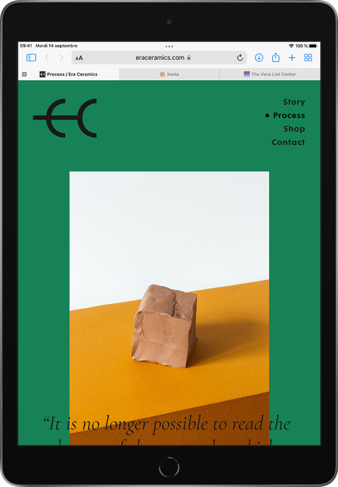 Une page web ouverte. Dans la partie supérieure, de gauche à droite, se trouvent le bouton « Afficher la barre latérale », les flèches vers la gauche et vers la droite, le bouton « Réglages de la page », le champ de recherche, le bouton « Recharger la page », le bouton Téléchargements, le bouton Partager, le bouton « Nouvel onglet » et le bouton Onglets. En dessous se trouve une rangée d’onglets ouverts.