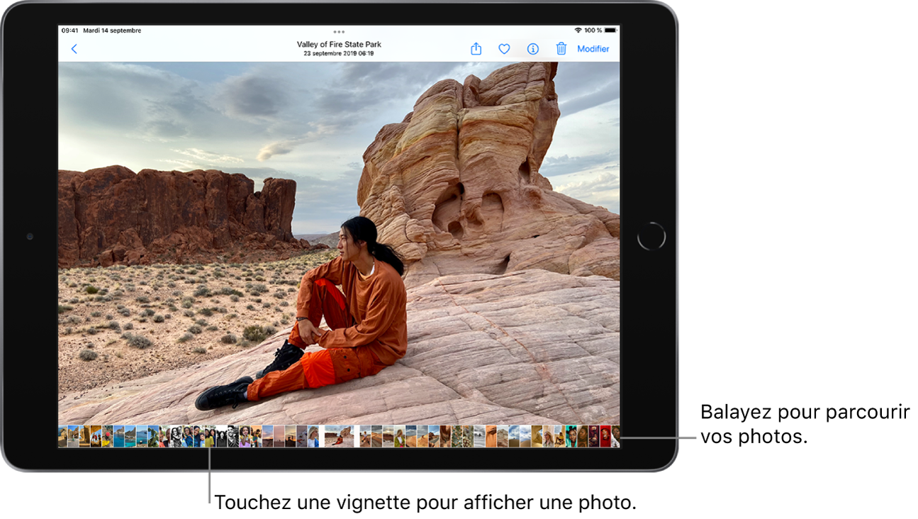 Une photo en plein écran, avec les vignettes d’autres photos de la photothèque au bas de l’écran. En haut à gauche se trouve le bouton Retour ; en haut à droite se trouvent les boutons Partager, « Ajouter aux favoris », Infos, Supprimer et Modifier.