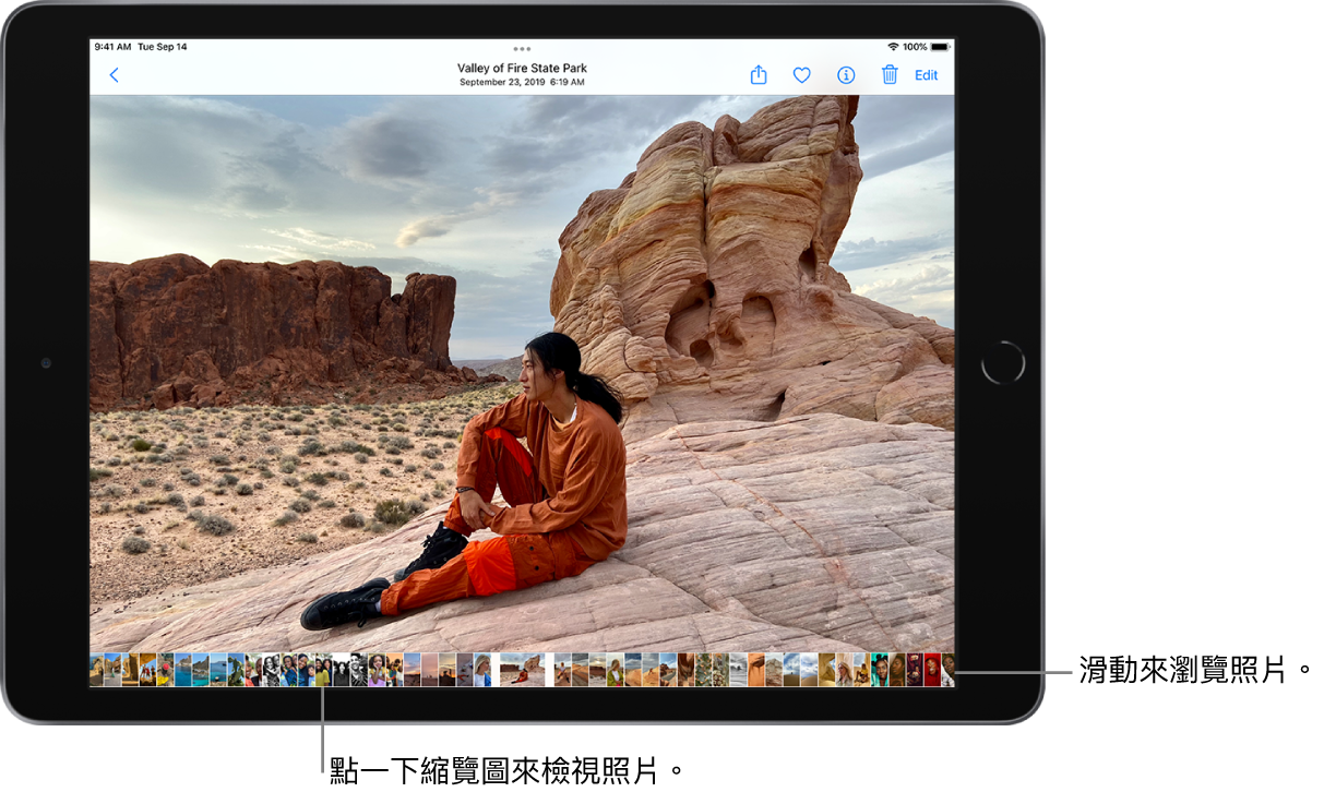 以全螢幕顯示一張照片,螢幕底部是一列圖庫中其他照片的縮覽圖。左上角為「返回」按鈕,由上角依序是「分享」、「喜好項目」、「資訊」、「刪除」和「編輯」按鈕。