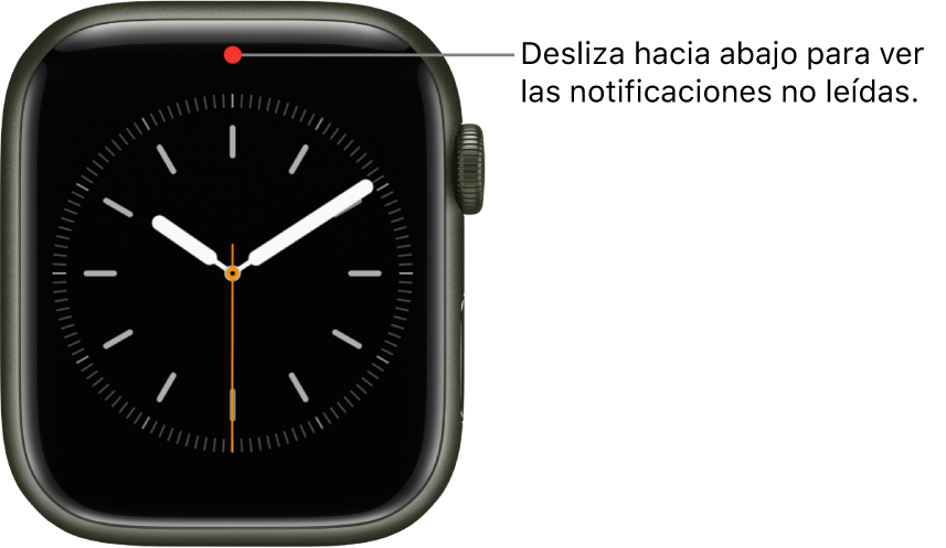 Почему На Apple Watch Не Отображается Фото