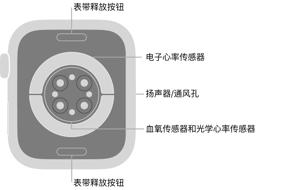 Apple Watch Apple Support Sg