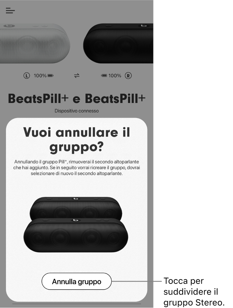 App Beats che mostra la scheda “Annulla gruppo”