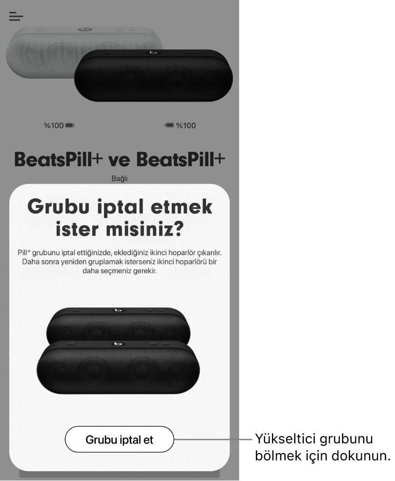 Grubu iptal et kartını gösteren Beats uygulaması