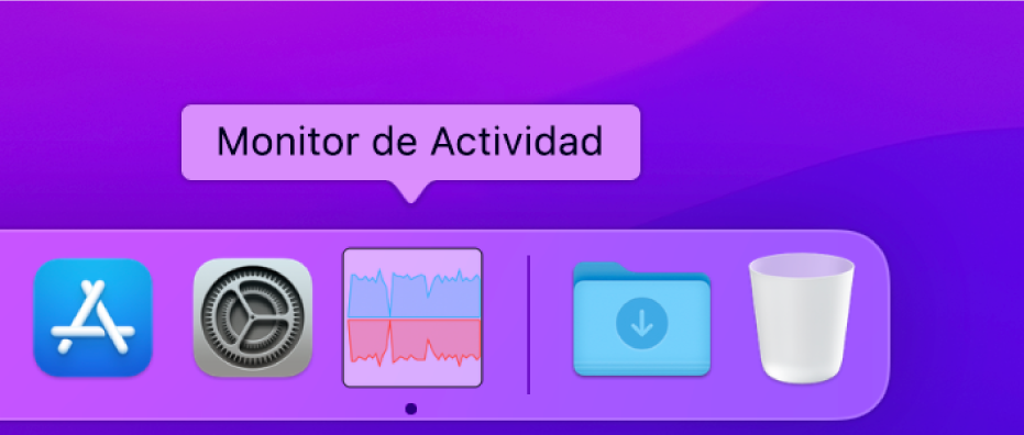 Icono de Monitor de Actividad en el Dock con información de la actividad de red.
