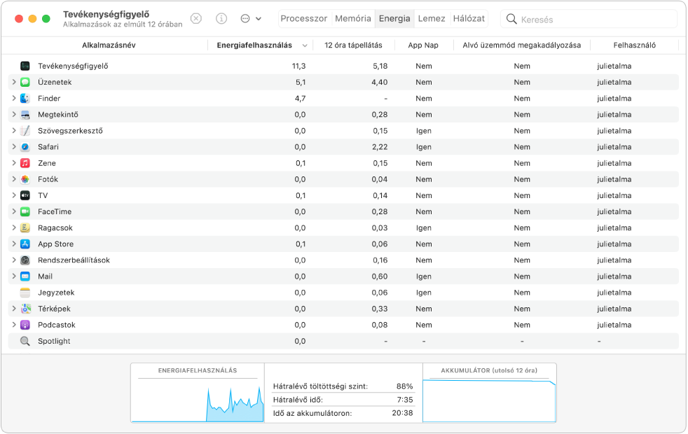 A Tevékenységfigyelő Energia panelje. A panelen az alkalmazások listája látható; az oszlopokban leolvasható az egyes folyamatok energiahasználata. Az ablak alján grafikonon látható a teljes energiafelhasználás.