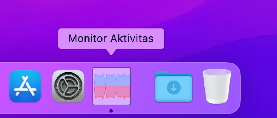 Ikon Monitor Aktivitas di Dock menampilkan aktivitas jaringan.